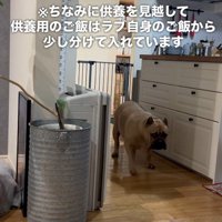 いそいそとレティちゃんの祭壇へ