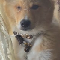 切ない表情