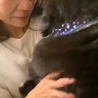 ずっと気になっていた…