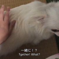 素直に起き上がりました！