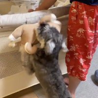 「触ると安心するよ！」