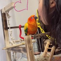 インコとチュッ♡