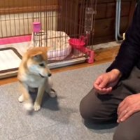 どんどん近づくみなみちゃん