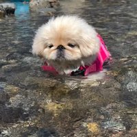 川遊びに行ったら…