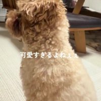 ナデナデが止まると…