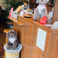 看板犬のジュプンちゃん＆ブンガちゃん2