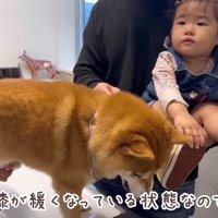 安静に過ごすよう言われた