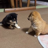 間合いも完璧です♡