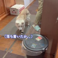 じっとそばにいた
