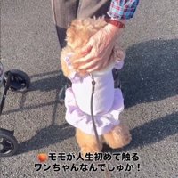 おばあちゃんもメロメロに！