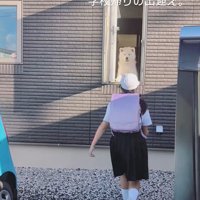 秋田犬のお見送りとお出迎え4