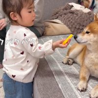 「ポテトだよ」