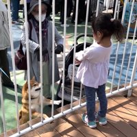 「戻ってきて！」とお手々を伸ばす花子ちゃん
