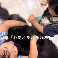 犬をぎゅっと抱きしめる兄弟