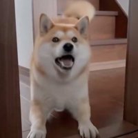 プレイバウ