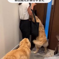 奥に割り込み