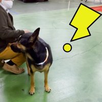 「えっ、今おしり叩いた…！？」