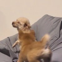後輩に押され気味！？
