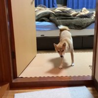 ベッドから降りて部屋の外へ
