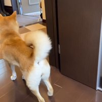 「休日なのにお仕事行っちゃうの…？」