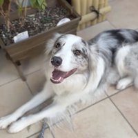 完璧に案内できました