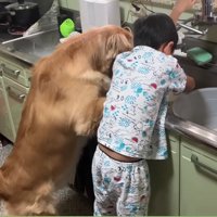 こっそりと観察してみると…