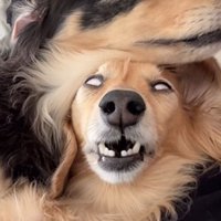 白目＆歯がむき出し！