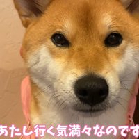 諦めていないご様子