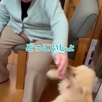 おばあちゃんの袖を引いて…