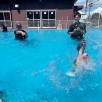 バタバタ泳ぐ犬