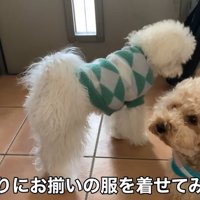 ドッグランに出発