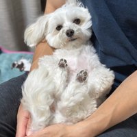 普段