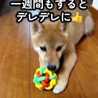 デレデレになったママ