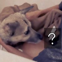 タオルで包まれたとき…