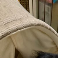 ワンコのベッド