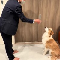 帰宅後すぐにイギーちゃんのもとへ