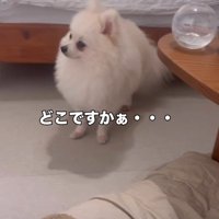 思い出さなかった！！