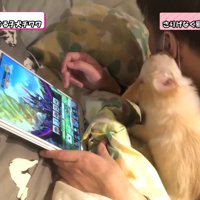 全然ゲームに集中できません