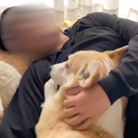 ご要望に応えてなでなで…