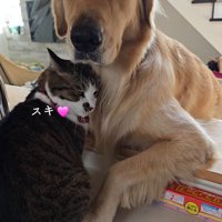 「ママ、どうしよう？」