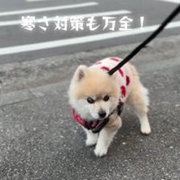 のんびり歩くのが好き