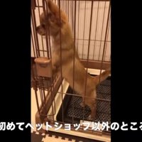 緊張していたけれど…