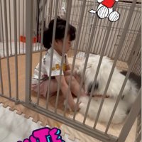 娘さんのことがお気に入り