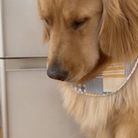 「病院、拒否です…」