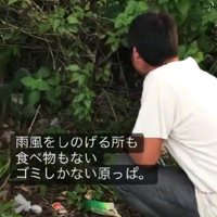 周りはゴミしかない…