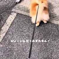 方向転換して逃亡！！