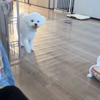 おやつの場所を教えるポテトくん