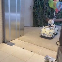 扉の奥から現れた車