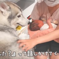 優しさあふれるもんちゃん