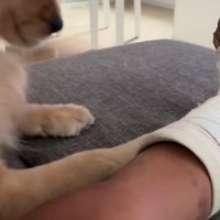 「なんなの！このニオイ！！」